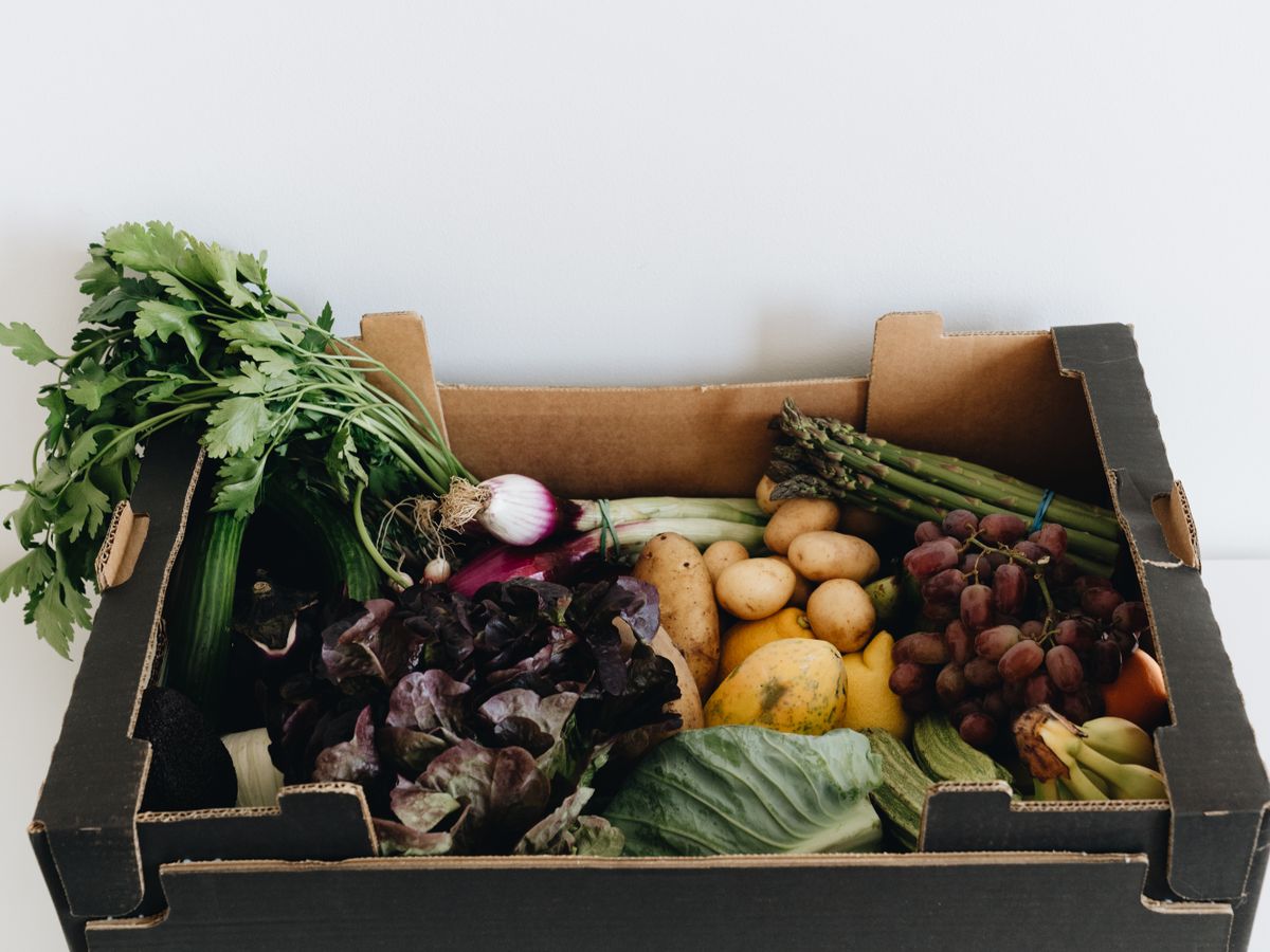 TANE BOX — 朝どれ野菜の定期便