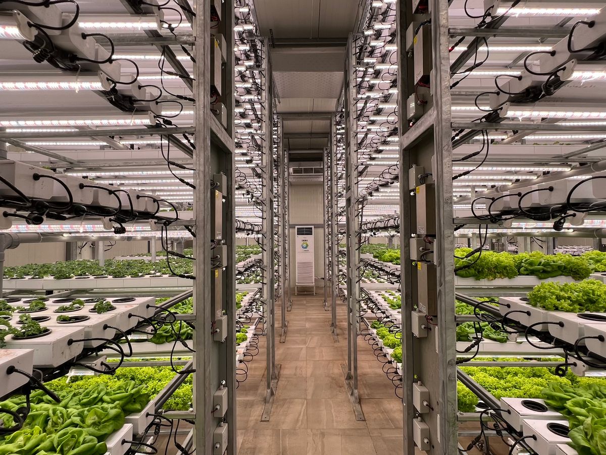 TANE FARM — 都市型モジュール植物工場